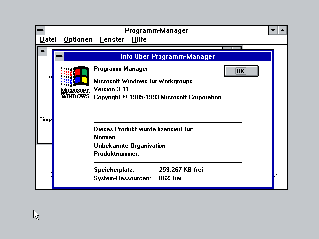 Windows for Workgroups 3.11