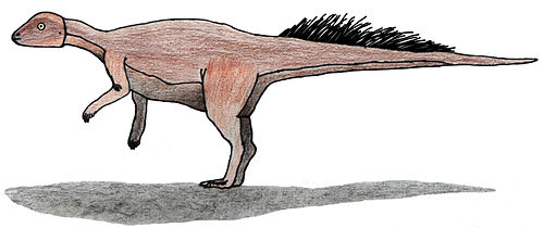 micropachycephalosaurus longest name