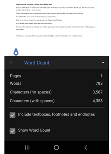 microsoft word mobile review option